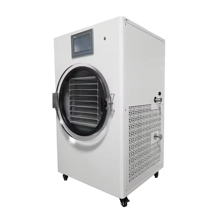 Household Vegetable Lyophilizer With Vacuum Freeze Drying