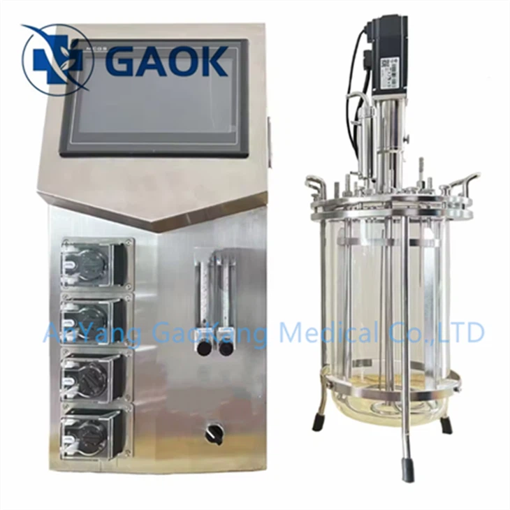 Glass Bioreactor Fermenter