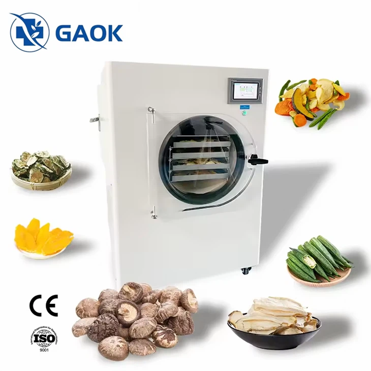 Laboratory Mini Freeze Dryer Machine